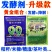活力99发酵剂(整箱)加强型豆渣发酵剂潲水酒糟秸秆发酵剂