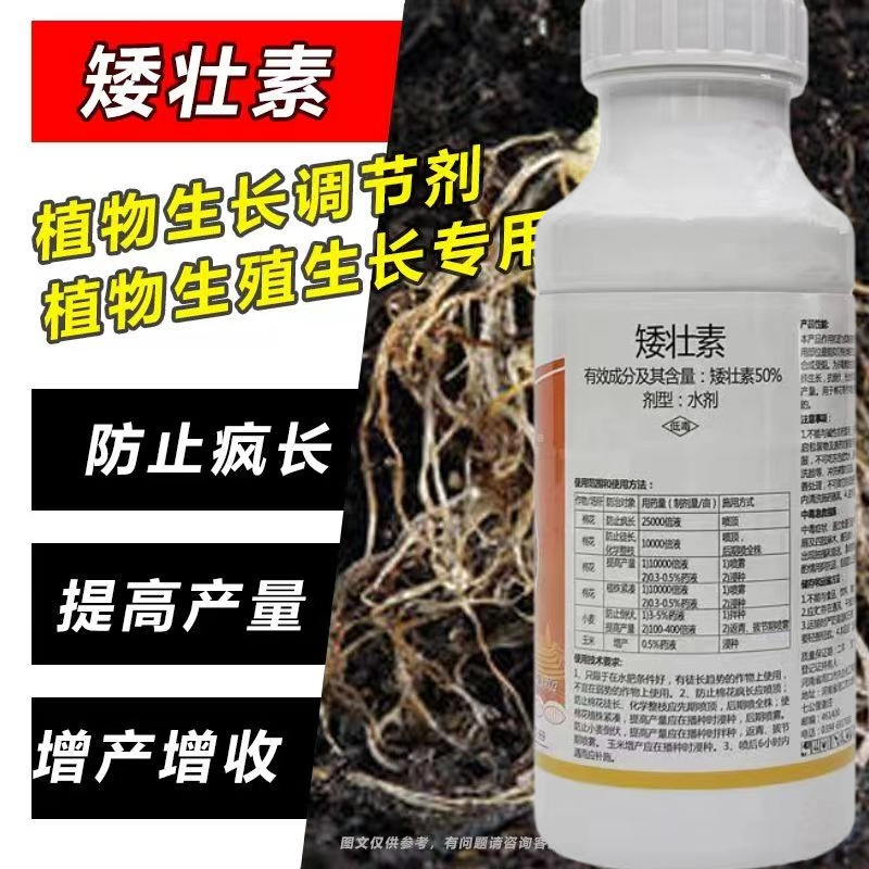 50%矮壮素矮化植株防徒长疯长抗倒伏棉花玉米植物生长调