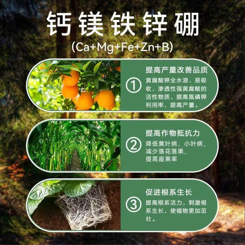 钙镁锌硼铁中量元素水溶肥果树蔬菜花卉通用五元素叶面肥保花