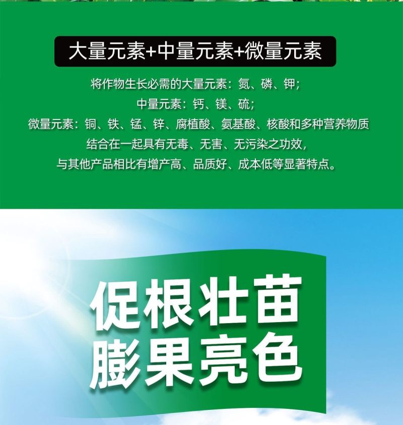 中药材五味子叶面肥增产吴茱萸沙仁豆蔻薏苡仁膨大果胡椒枸杞