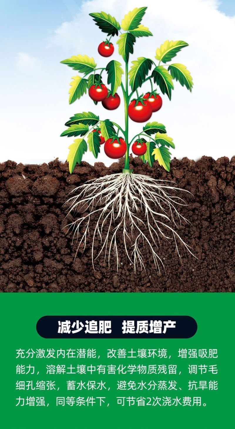 中药材五味子叶面肥增产吴茱萸沙仁豆蔻薏苡仁膨大果胡椒枸杞
