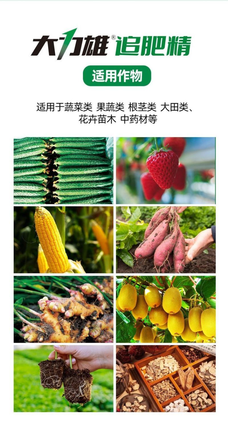 中药材五味子叶面肥增产吴茱萸沙仁豆蔻薏苡仁膨大果胡椒枸杞