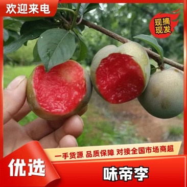 湖北李子味帝红心李五月脆八宝丹
