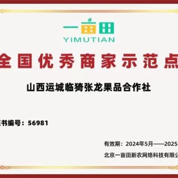 精品苹果红富士苹果运城产地直供可对接市场电商商超