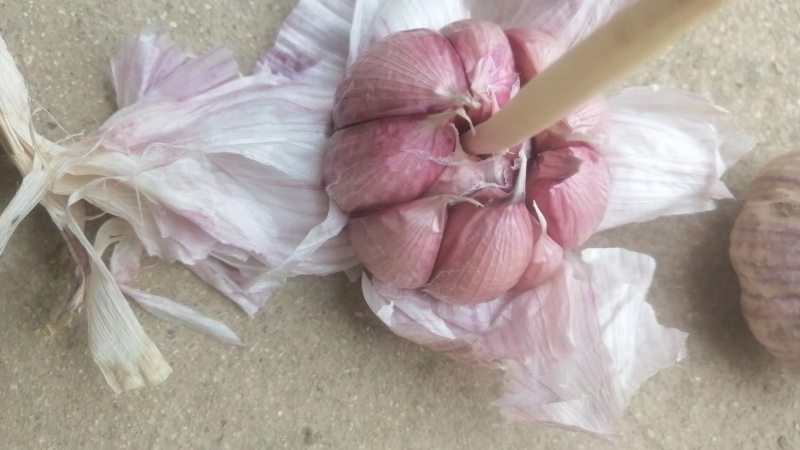 山东紫皮大蒜紫皮蒜大量供应新蒜产地直发货源充足