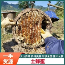 【全国发货】四川中蜂精品土蜂蜜海拨1500米以上养殖