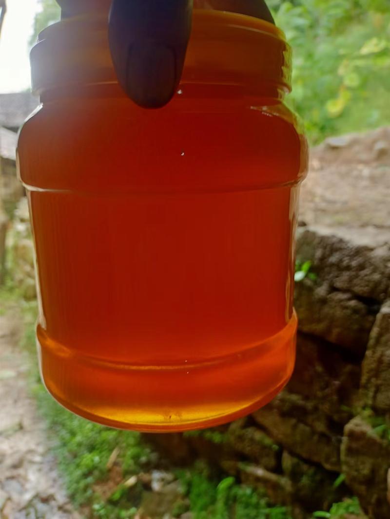 【自家养殖】四川中蜂精品土蜂蜜口感甜品质保障