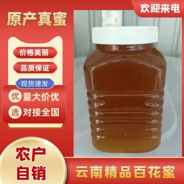 云南精品百花蜜蜂蜜口感甜而不腻欢迎咨询