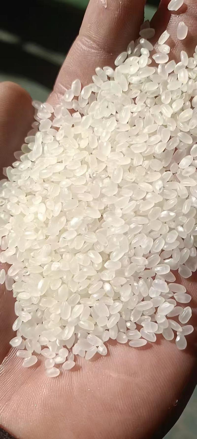 江苏大米粳米香米大量供应产地直发量大从优