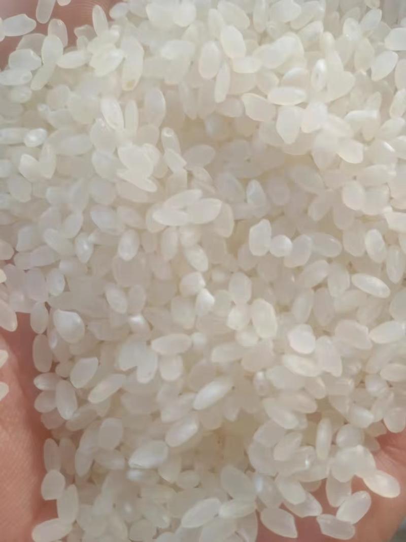 江苏大米粳米大量供应品质保证诚信经营量大从优