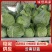 云南甘蓝，大量上市，欢迎订购，支持全国发货，量大从优，