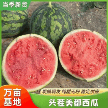 精品美都西瓜产地一手货源诚信经营质量保证口感甜欢迎来电