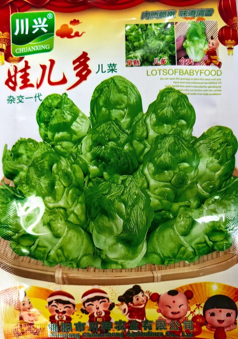 娃儿多儿菜种子早中熟耐寒耐肥儿芽多味甜美