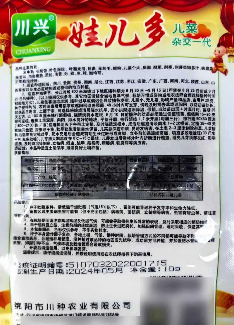 娃儿多儿菜种子早中熟耐寒耐肥儿芽多味甜美