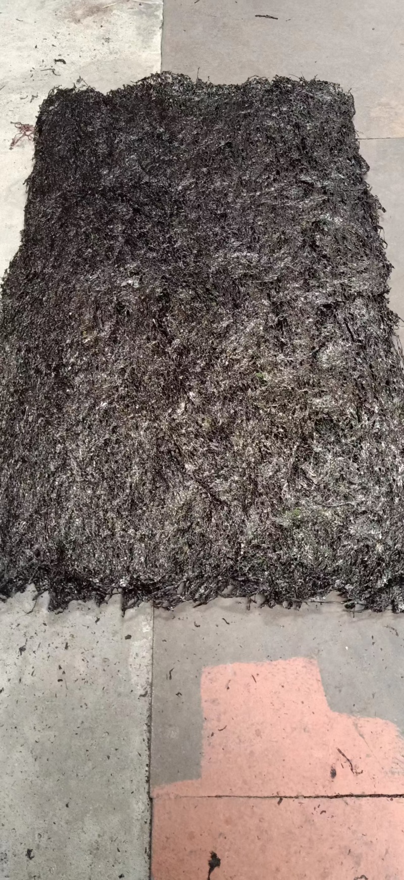 温州苍南水源头紫菜厂家直供一手货源质量保证欢迎联系