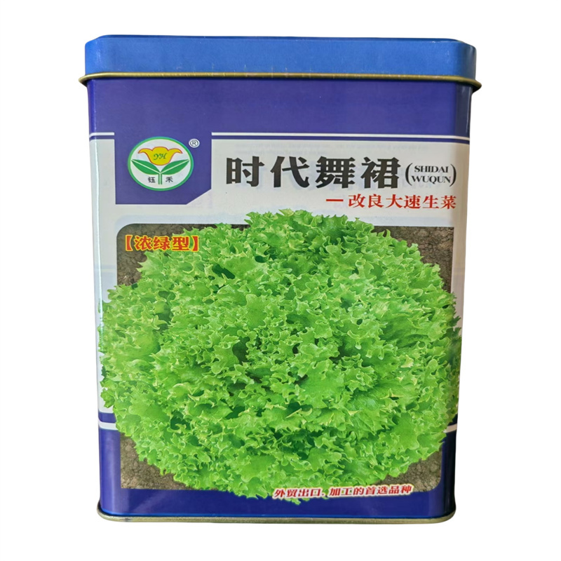 时代舞裙大速生菜种子改良大速生菜种子浓绿色200克