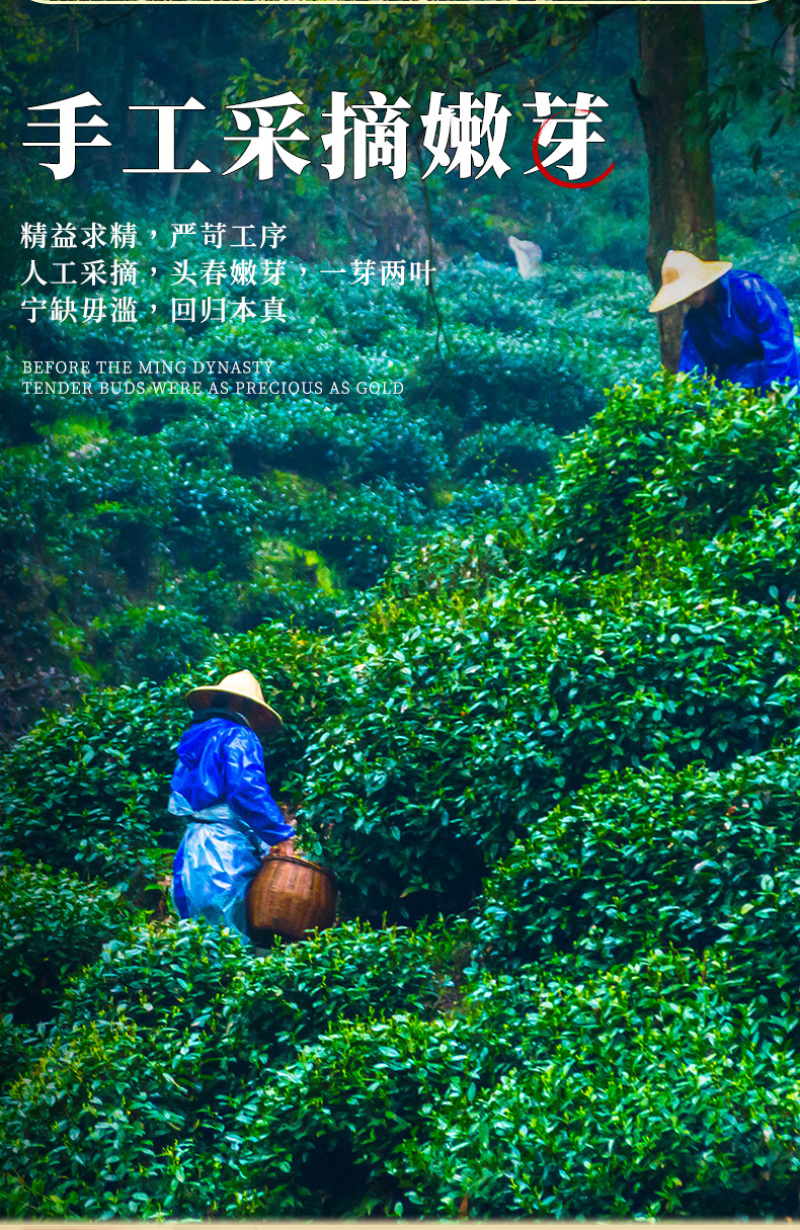 云南特产一级绿茶香茗茶春茶嫩叶厂家直销批发袋装80g