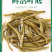 云南特产一级绿茶香茗茶春茶嫩叶厂家直销批发袋装80g