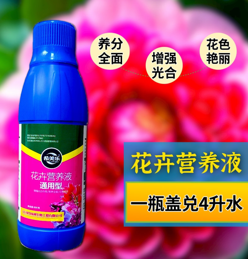 花卉营养液色泽艳丽营养丰富延长花期提高光合作用