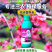 花卉叶面肥花色艳丽增强光合作用养分全面延长花期