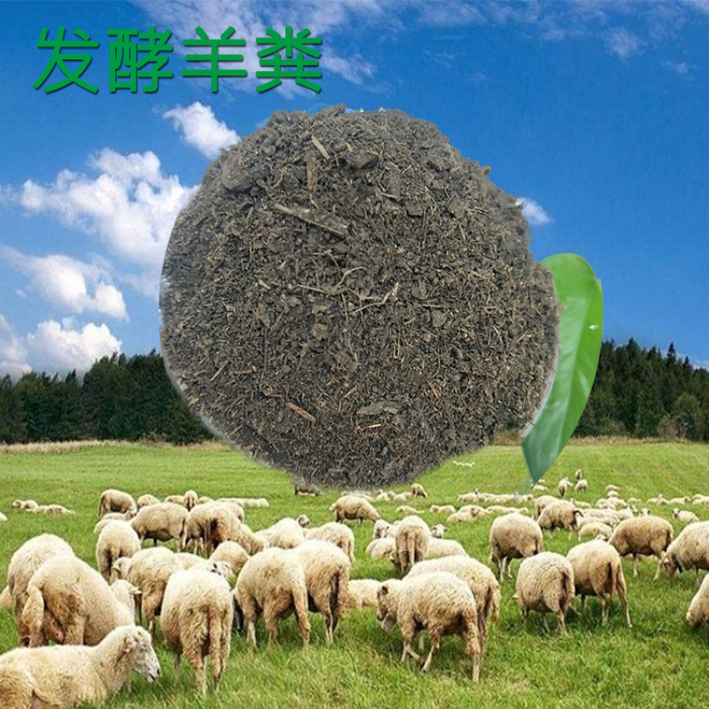 绿沃肥业-羊粪有机肥腐熟发酵育苗用肥不烧根不烧苗