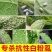 联菊啶虫脒杀虫剂专杀抗性蚜虫白粉虱蓟马红蜘蛛果树花卉蔬菜