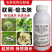 联菊啶虫脒杀虫剂专杀抗性蚜虫白粉虱蓟马红蜘蛛果树花卉蔬菜