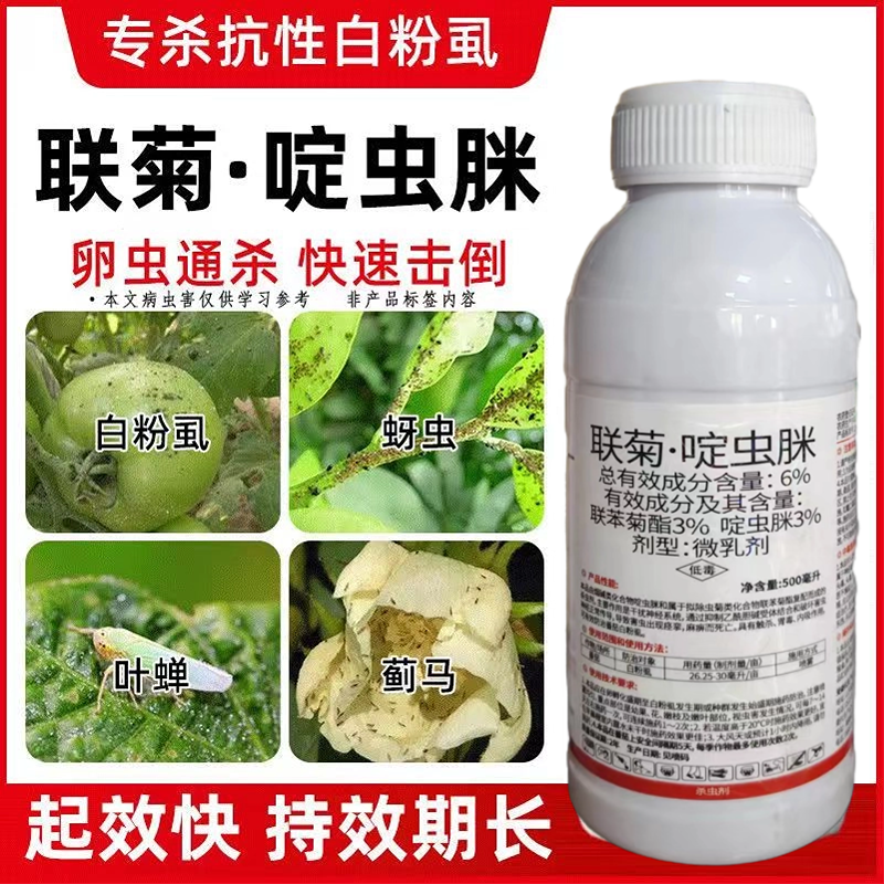 联菊啶虫脒杀虫剂专杀抗性蚜虫白粉虱蓟马红蜘蛛果树花卉蔬菜
