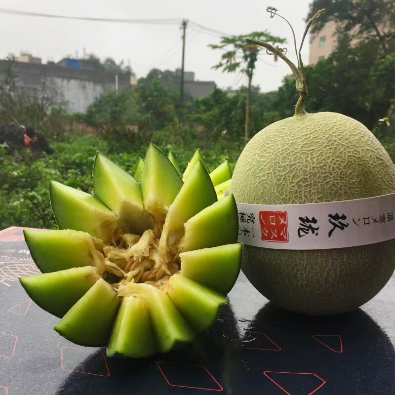【一件代发】海南玫珑瓜网纹瓜支持各大电商平台代发
