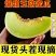 【一件代发】海南玉菇甜瓜支持各大电商平台代发