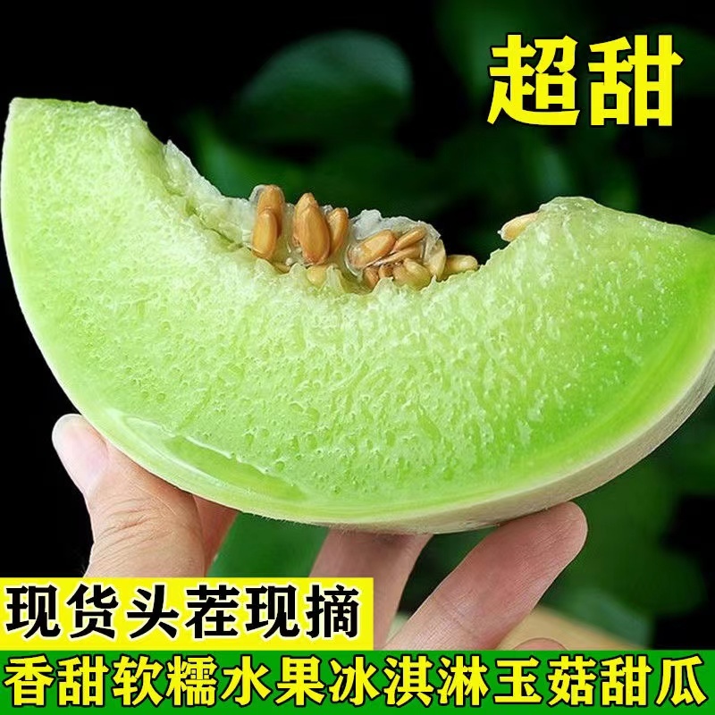 【一件代发】海南玉菇甜瓜支持各大电商平台代发