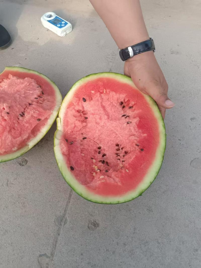 精品麒麟瓜美都西瓜，保质保量，价格实惠，全国发货，欢迎来电