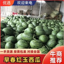 精品早春红玉西瓜，手撕瓜，2K小糖丸！产地直发，包熟包甜