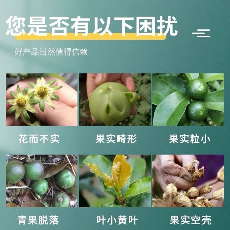 颗粒硼果树蔬菜花生大豆大田作物通用底肥农用正品批发