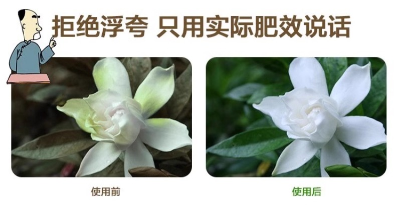 硫酸亚铁花用酸性酸性肥料花卉茉莉花果树硫酸亚铁农用栀子花