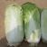 河北精品毛菜娃娃菜对接电商市场商超等各类客户