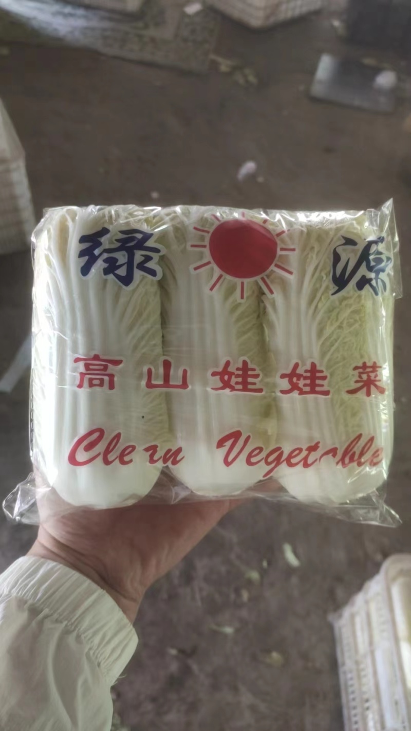 精品娃娃菜品上市，质量保证品种纯正假一赔十