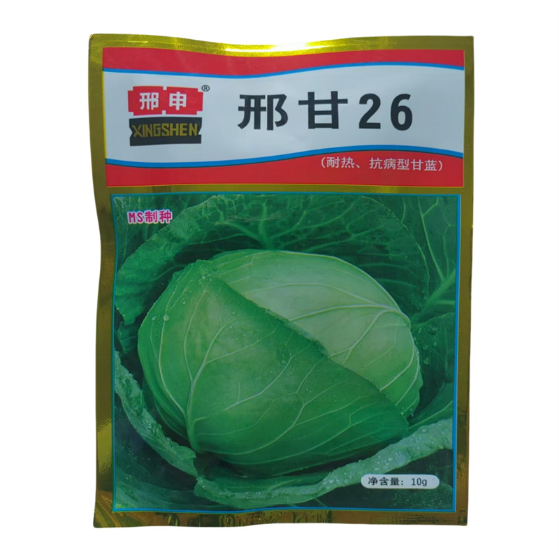 邢申邢甘26甘蓝种子水果包菜种子圆球型耐热抗病型甘蓝种子