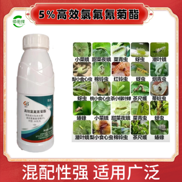 5%高效氯氟氰菊酯水乳杀虫剂食心虫菜青虫蓟马跳甲