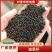 【油菜籽】产地批发大量供应自家种植品质纯正量大从