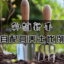 绿沃肥业-营养种植土通用型养花种菜有机土壤批发