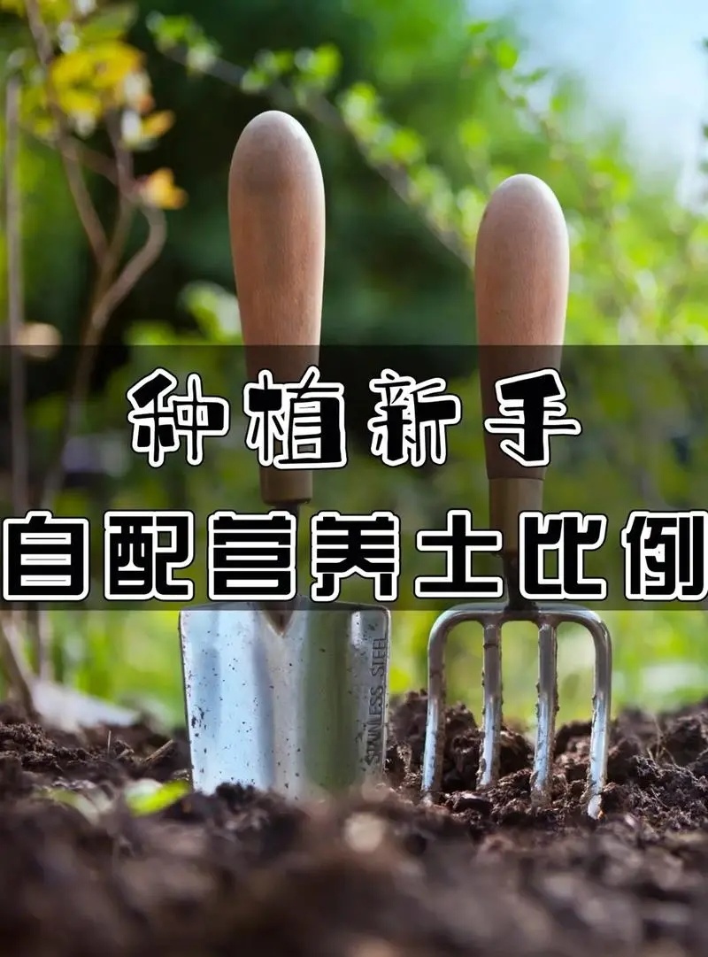 绿沃肥业-营养种植土通用型养花种菜有机土壤批发