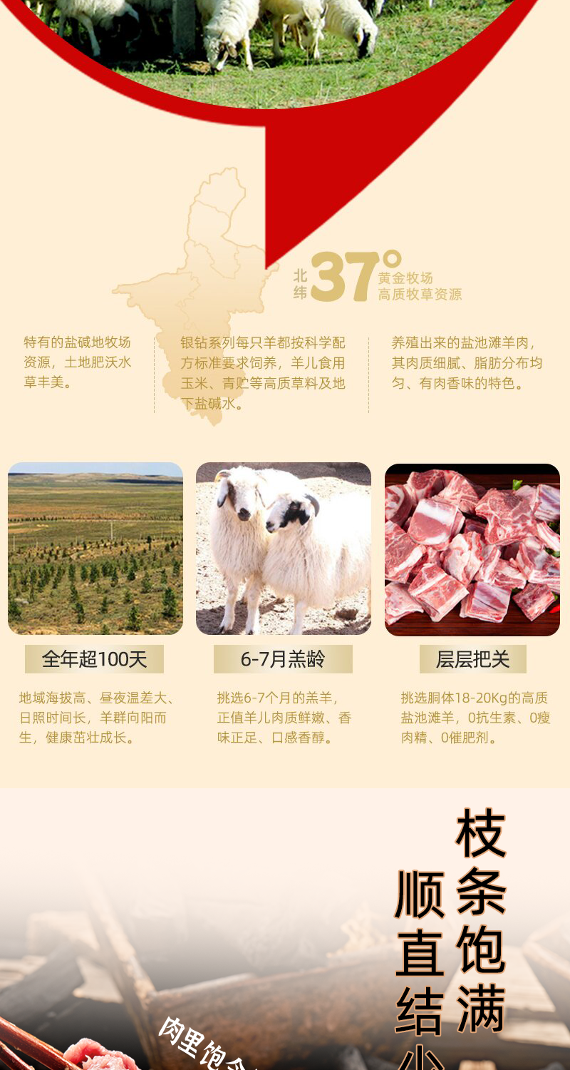 宁夏盐池红柳枝羊肉串大肉串烤串空气炸锅户外烧烤食材半成品