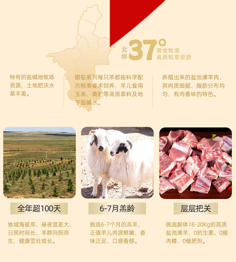 宁夏盐池竹签羊肉串烧烤串大串肉串纯羊肉烧烤家庭露营食材半