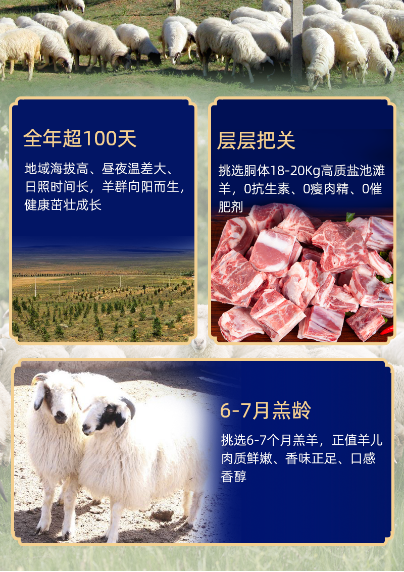 宁夏盐池滩羊肉清炖羊肉切块新鲜现杀原切生鲜家用食材冷冻半