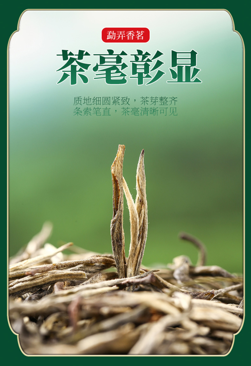 云南特产一级绿茶香茗茶春茶嫰叶厂家直销批发袋装80g