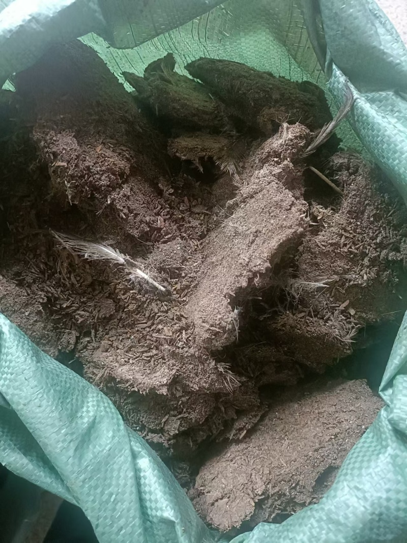 【鸡粪】广东基地直供质量保证货源充足量大优惠欢迎订购