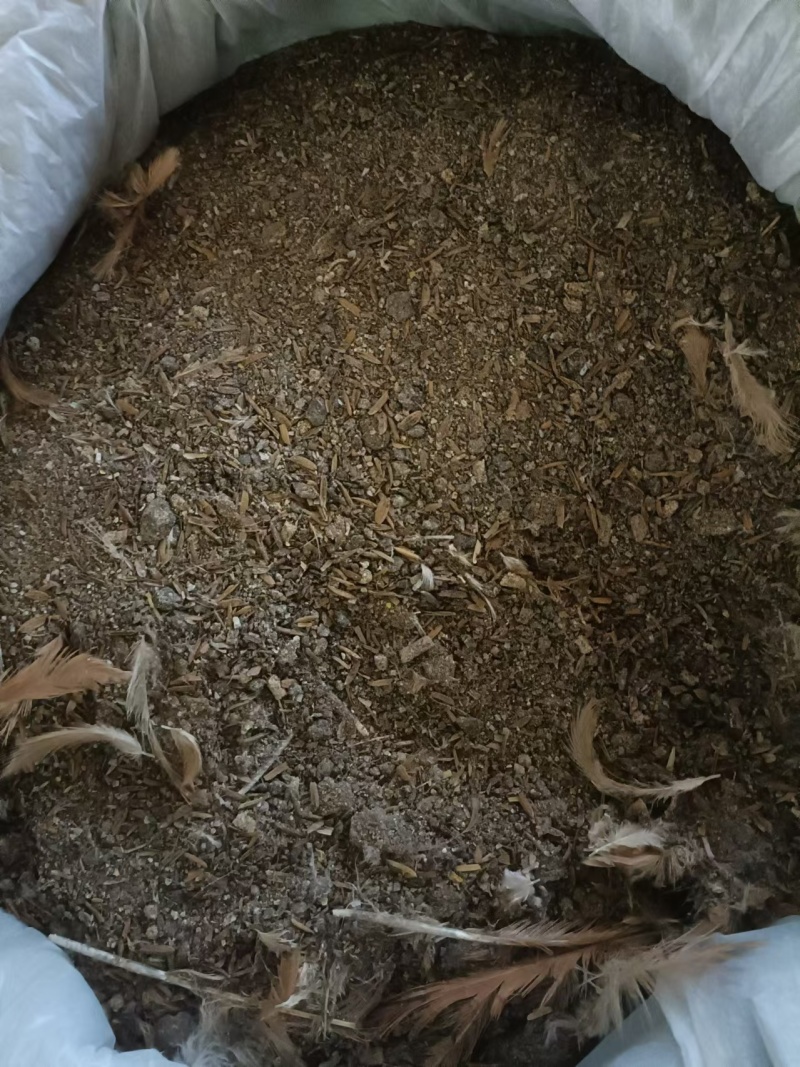 【鸡粪】广东基地直供质量保证货源充足量大优惠欢迎订购