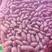 河北精品山药豆，冰糖葫芦使用，品质好，价格低，可发全国