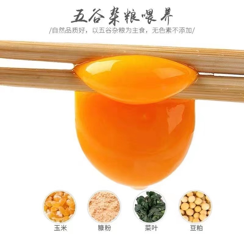 蛋品优质，货源充足全国批发量大从优让您采购放心！